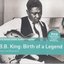 Rough Guide to B.B. King: Birth Of A Legend