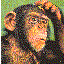Avatar de raar-aapje
