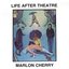 Life After Theatre / Pete