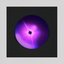 Late Bloomers - Single