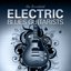 The Essential Electric Blues Guitarists