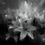 Avatar de Hwangyo-
