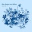 The Days Are Blue [Explicit]