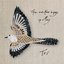 The Cuckoo Sings in May