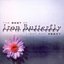 The Best Of Iron Butterfly: Light And Heavy