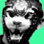 Avatar for kiot84