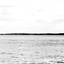 Avatar för MuRiina