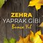 Yaprak Gibi - Bunca Yıl