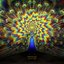 Hypnotized