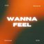 Wanna Feel