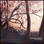 Bird Sings a Lullaby - Single