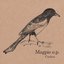 Magpie E.P.