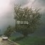 (The) Last Summer - EP