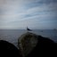 Keys of the Seas - Single