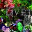 Live