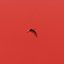 Lettere Animali