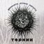 Тернии