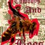 Cowboys and Bees