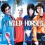 Wild Horses CD Maxi