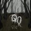 Roots