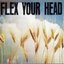 Flex Your Head