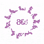 80B
