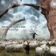 More Animals At The Gates Of Reason: A Tribute To Pink Floyd