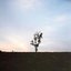 dein Garten, Pt. 2 - Single