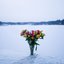 Wreathed in Life