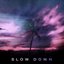 Slow Down - Single