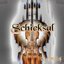 Schicksal - Single