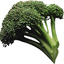 Avatar for brocco_lee