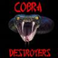 Avatar for CobraDestroyers