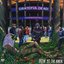 Dozin' at the Knick: Knickerbocker Arena (Live)
