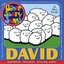 David: Shepherd, Psalmist, Soldier, King!