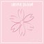 Sakura Bloom - Single