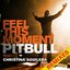 Feel This Moment Remixes (Feat. Christina Aguilera)