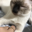 ikykiloveyouso 的头像