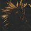 Endless Circles / Pathways To Emotional Arrest - EP