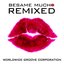 Besame Mucho Remixed