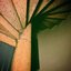 All You Can Eat (Rosa Anschütz Remix) - Single