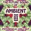 The Future Sound Of Ambient 3