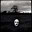 Dreamlurker