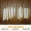 Four Seasons