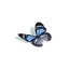 Butterfly Tetrad