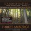 Forest Ambience