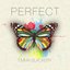 Perfect - EP