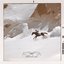 Avalanche