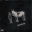 Dyingonmywhitehorse