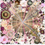 Avatar di laurenvelliott